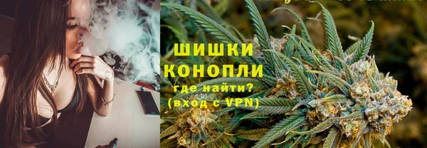 крисы Вязьма