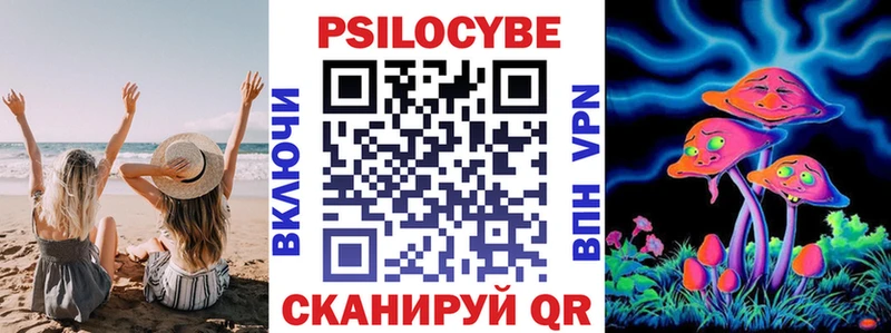 где купить наркотик  Пласт  Псилоцибиновые грибы мицелий 